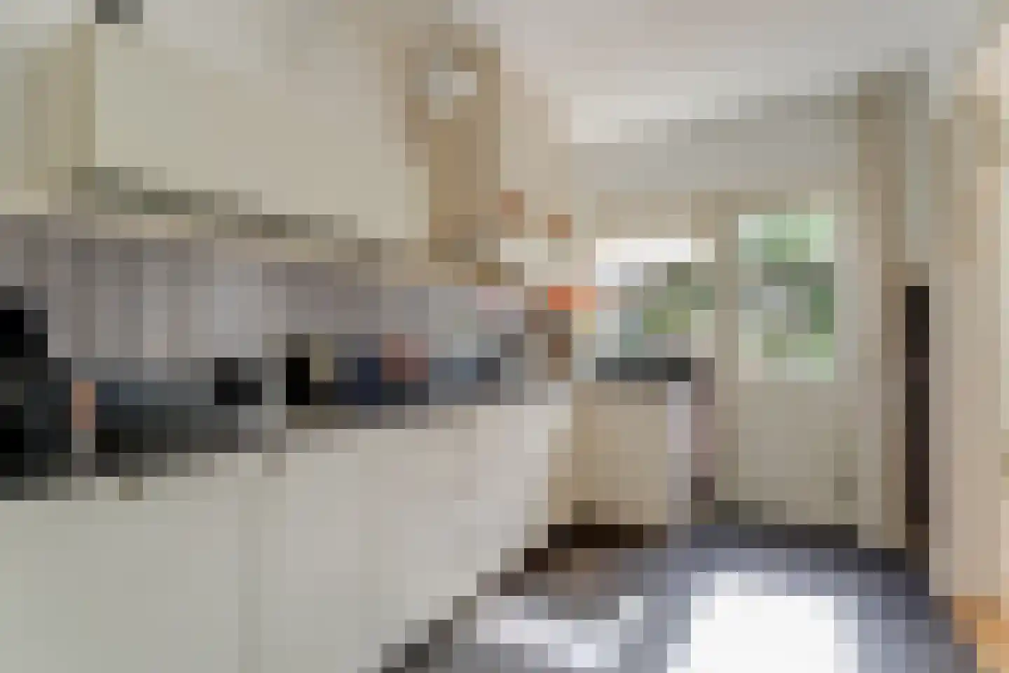 Pieter Koppesstraat 22 Spierdijk thumbnail 5