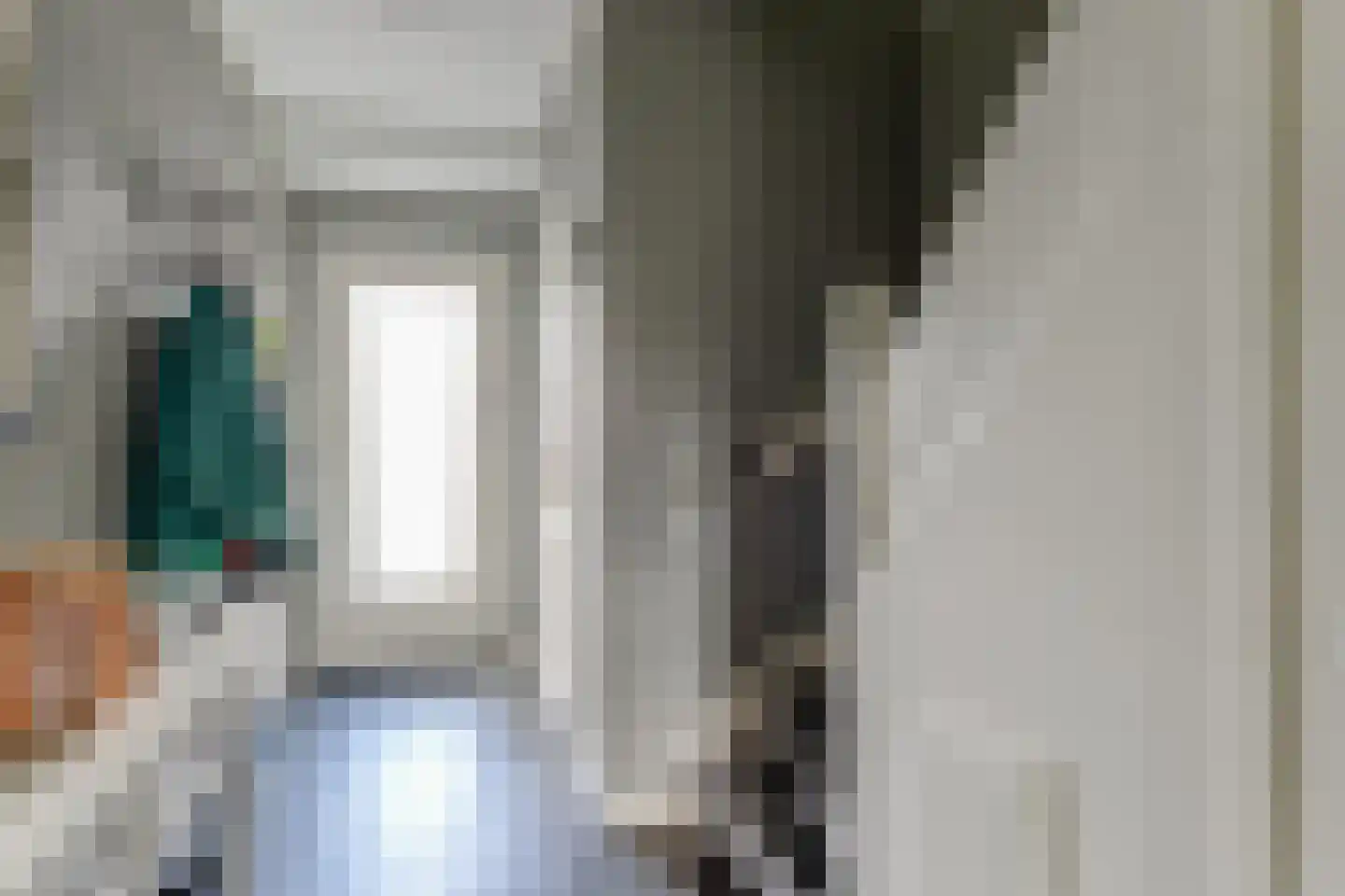 Pieter Koppesstraat 22 Spierdijk thumbnail 9