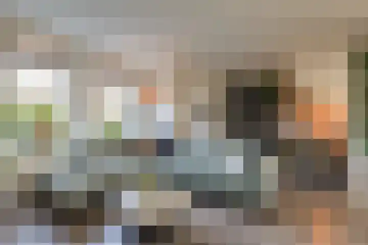 Pieter Koppesstraat 4 Spierdijk thumbnail 11