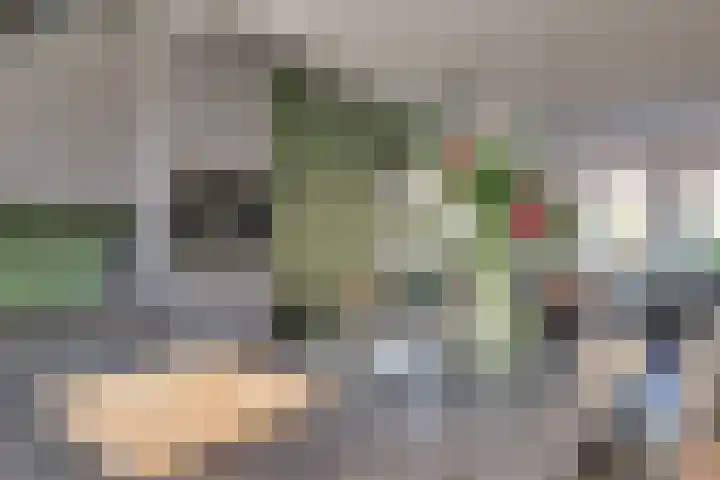 Pieter Koppesstraat 4 Spierdijk thumbnail 17