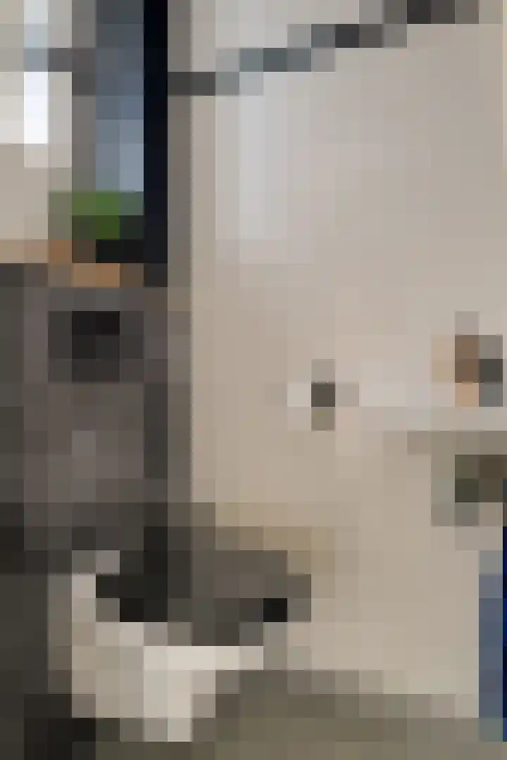 Pieter Koppesstraat 4 Spierdijk thumbnail 20