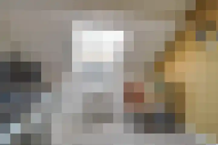 Pieter Koppesstraat 4 Spierdijk thumbnail 27