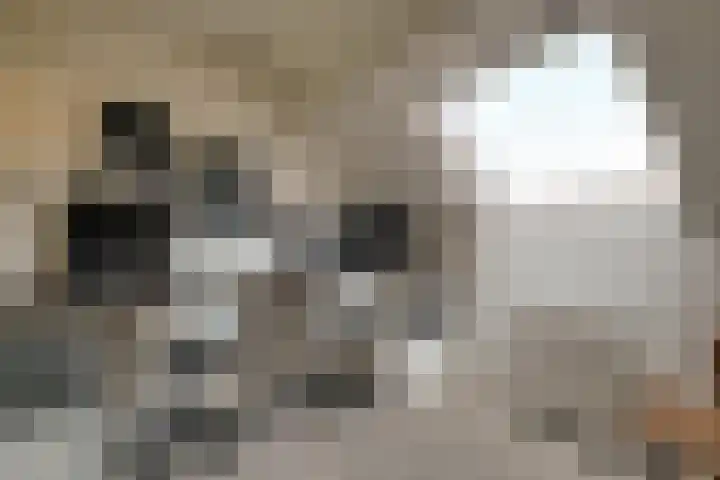 Pieter Koppesstraat 4 Spierdijk thumbnail 28