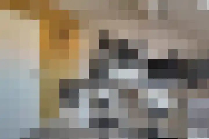Pieter Koppesstraat 4 Spierdijk thumbnail 30
