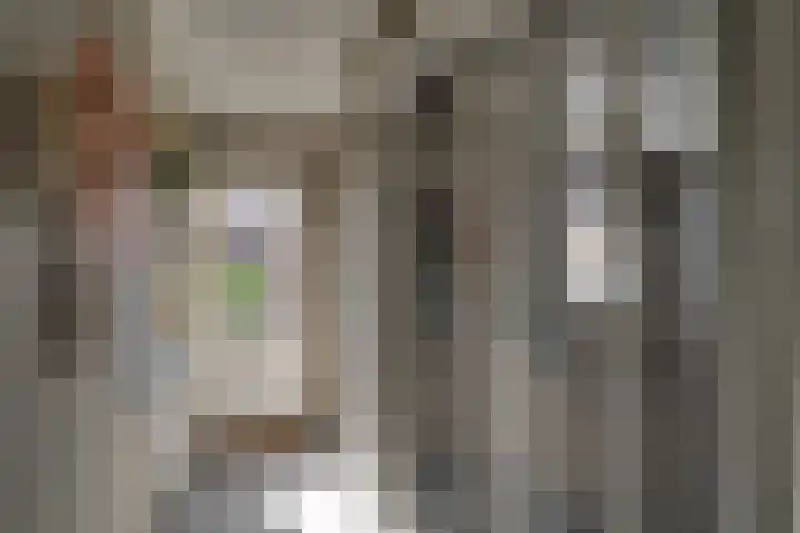 Pieter Koppesstraat 4 Spierdijk thumbnail 31
