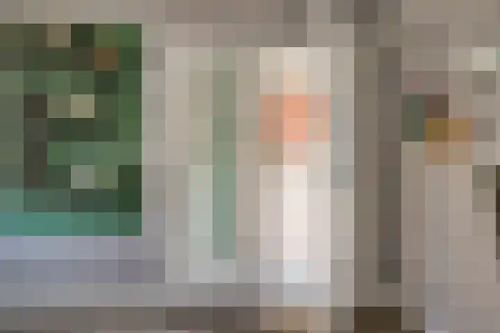 Pieter Koppesstraat 4 Spierdijk thumbnail 32