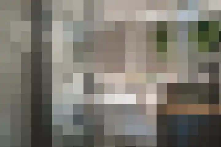 Pieter Koppesstraat 4 Spierdijk thumbnail 33