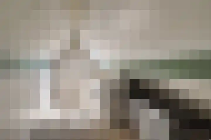 Pieter Koppesstraat 4 Spierdijk thumbnail 41