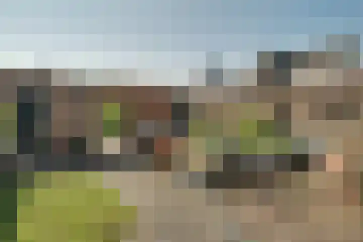 Pieter Koppesstraat 4 Spierdijk thumbnail 46