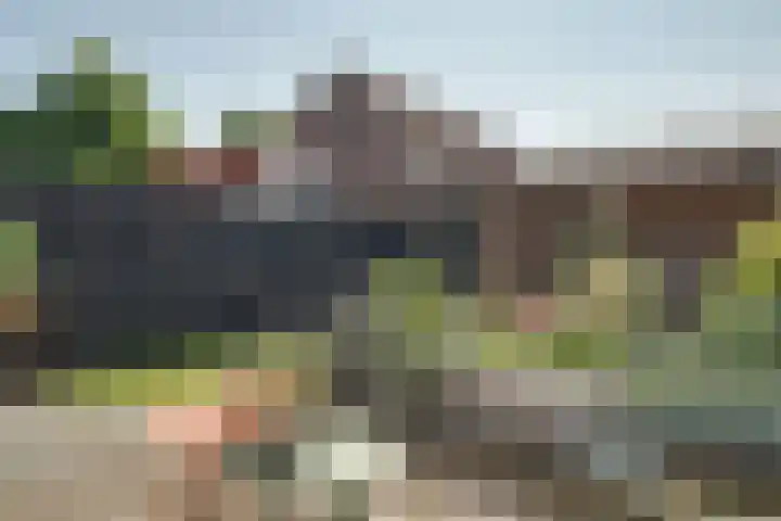 Pieter Koppesstraat 4 Spierdijk thumbnail 47