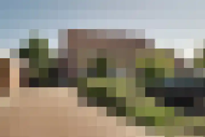 Pieter Koppesstraat 4 Spierdijk thumbnail 52