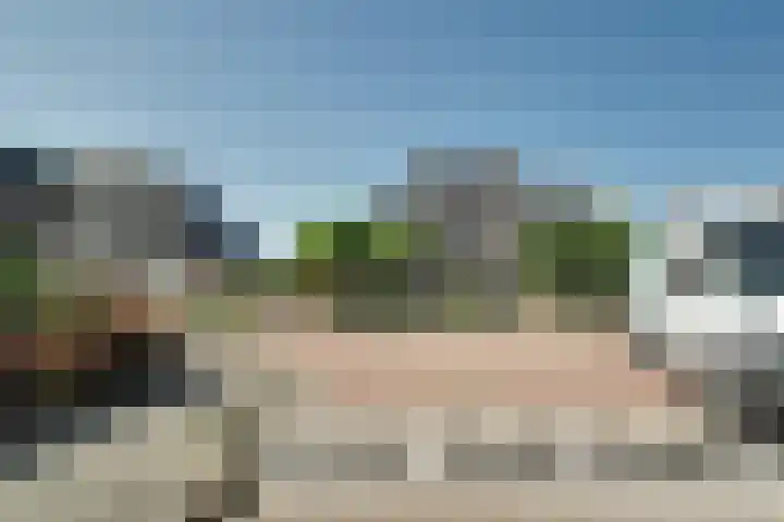 Pieter Koppesstraat 4 Spierdijk thumbnail 53