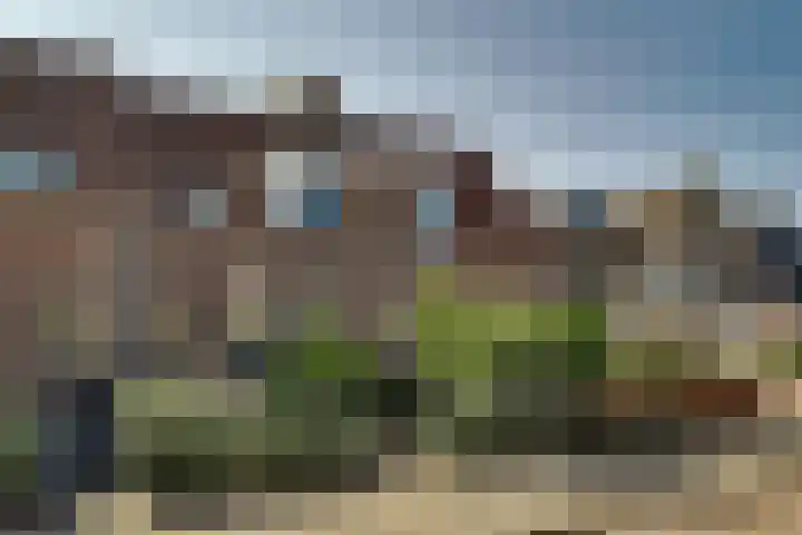 Pieter Koppesstraat 4 Spierdijk thumbnail 55
