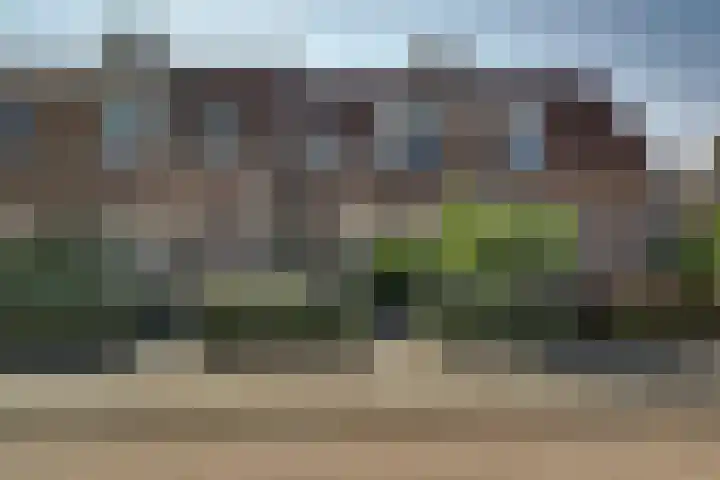 Pieter Koppesstraat 4 Spierdijk thumbnail 69