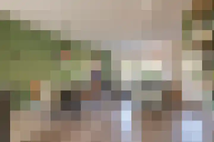 Pieter Koppesstraat 4 Spierdijk thumbnail 9