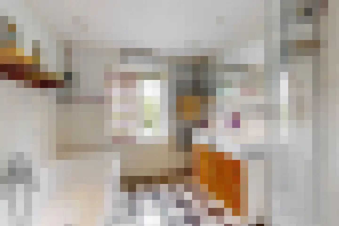 Pieter Kramerstraat 40 Zuidoostbeemster thumbnail 22