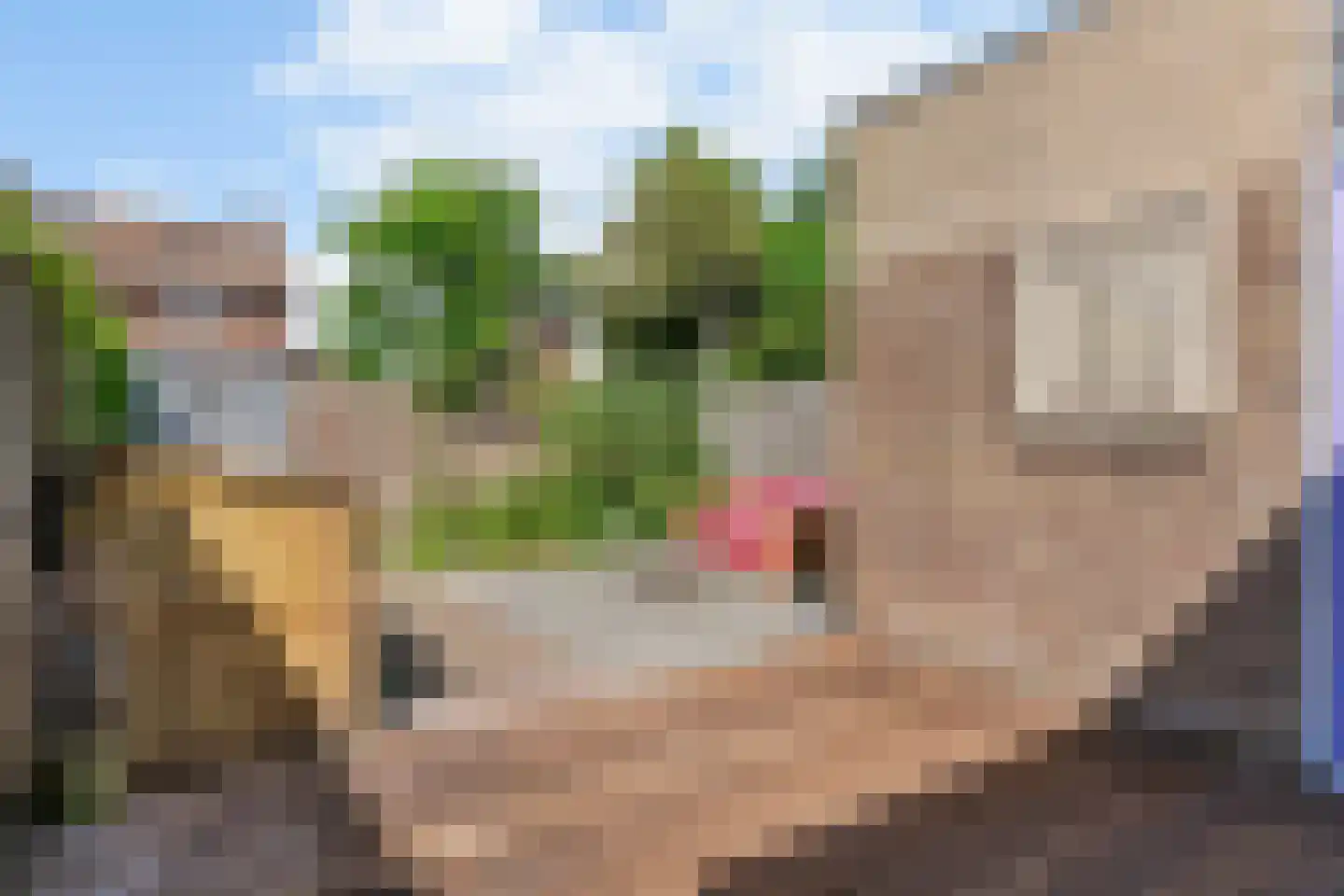 Pieter Kramerstraat 40 Zuidoostbeemster thumbnail 31