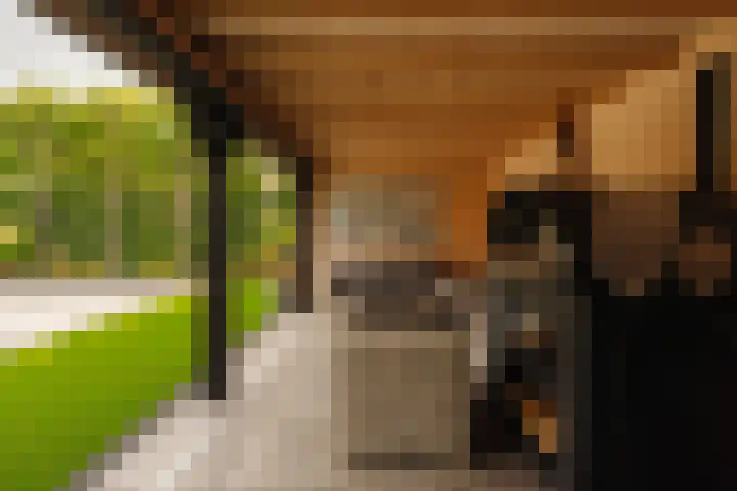 Pieter Langendijklaan 11 Uithoorn thumbnail 14