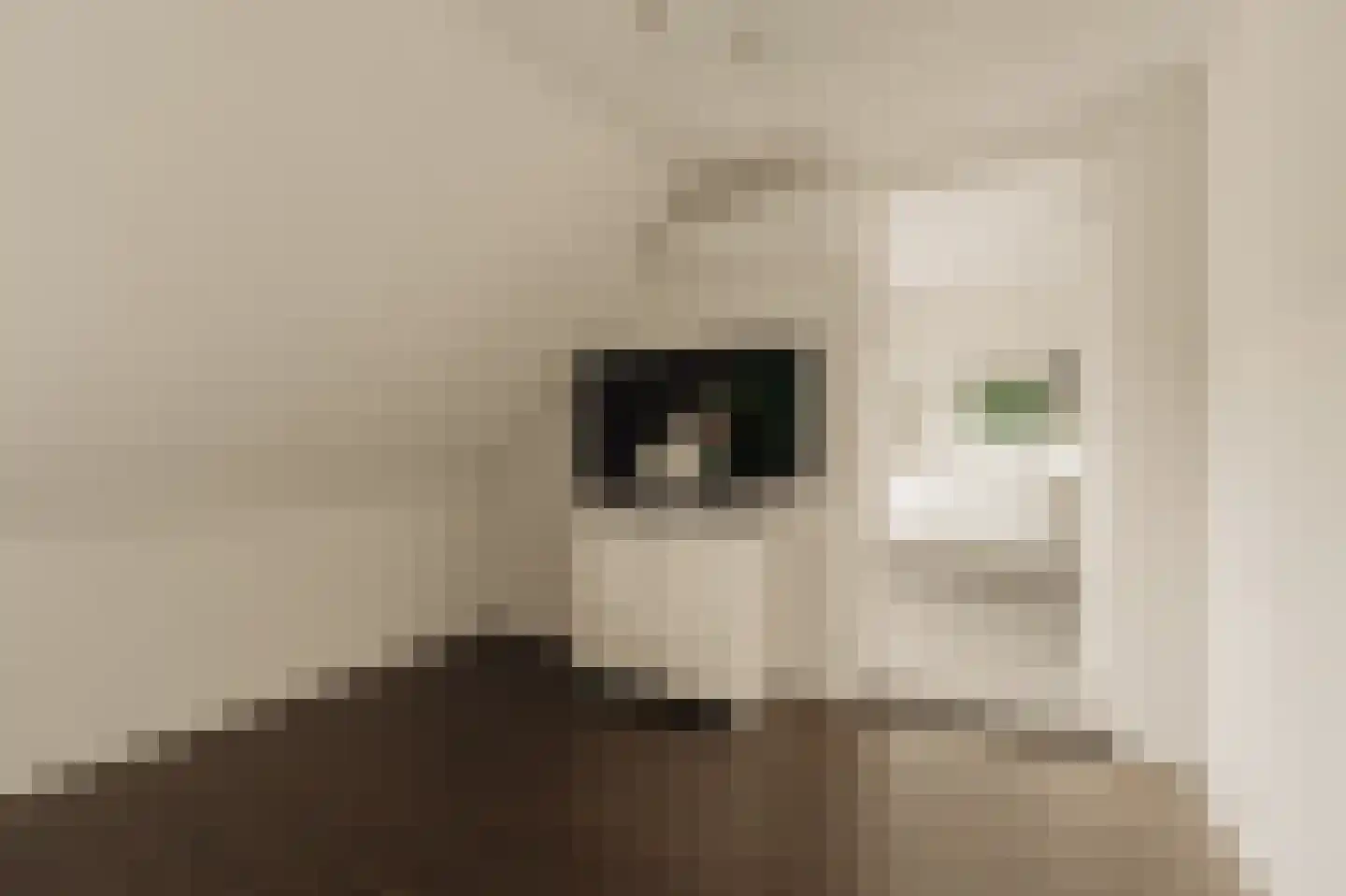 Pieter Langendijklaan 11 Uithoorn thumbnail 22