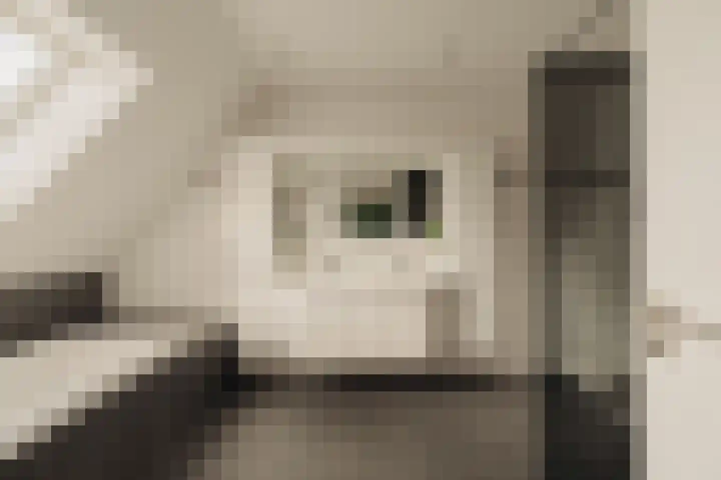 Pieter Langendijklaan 11 Uithoorn thumbnail 23