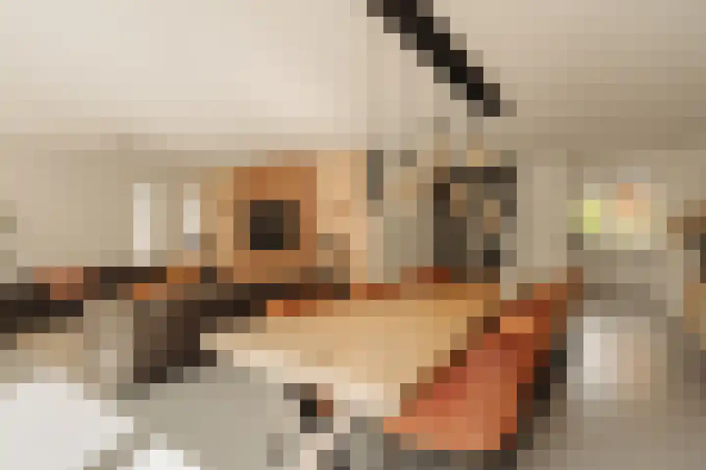 Pieter Langendijklaan 11 Uithoorn thumbnail 5