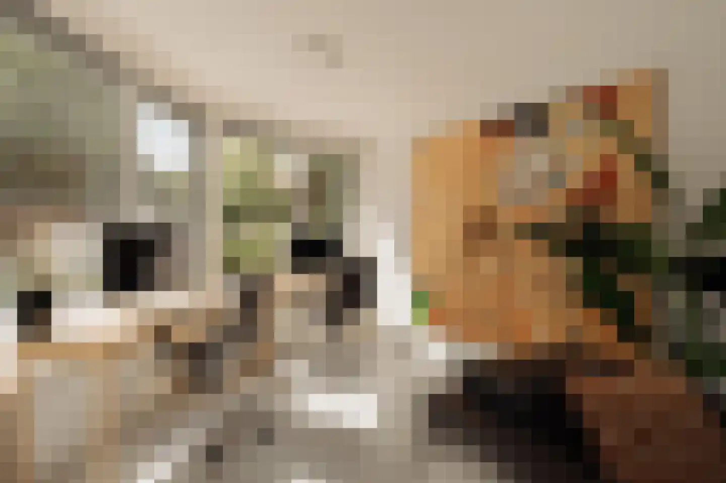 Pieter Langendijklaan 11 Uithoorn thumbnail 8