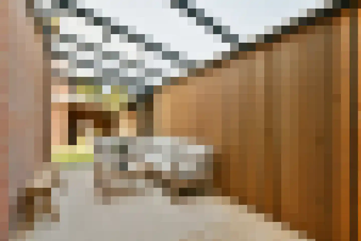 Pieter Langendijklaan 13 Amstelveen thumbnail 15