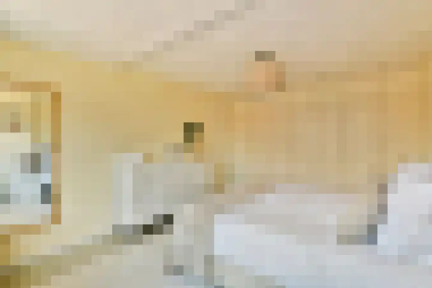 Pieter Langendijklaan 13 Amstelveen thumbnail 19
