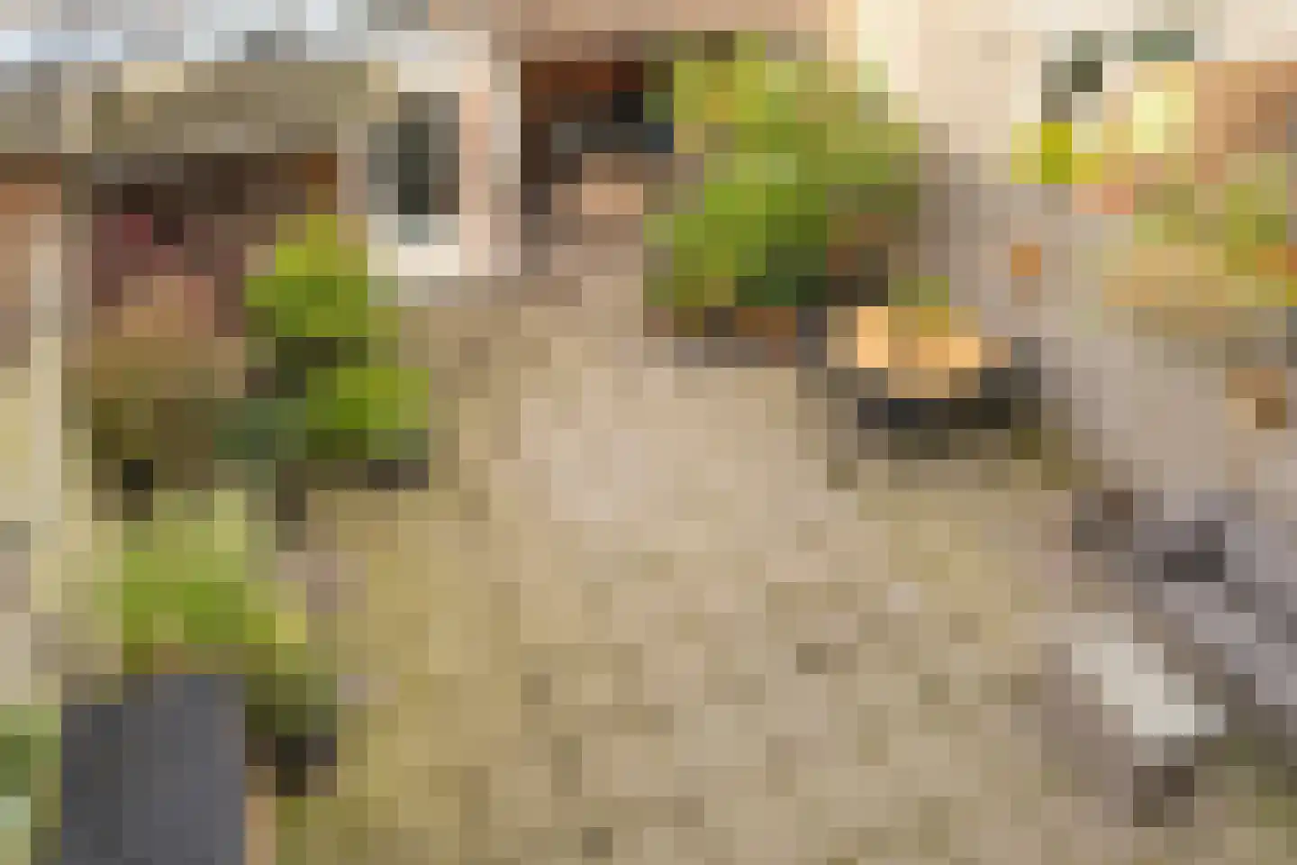 Pieter Langendijklaan 17 Amstelveen thumbnail 25