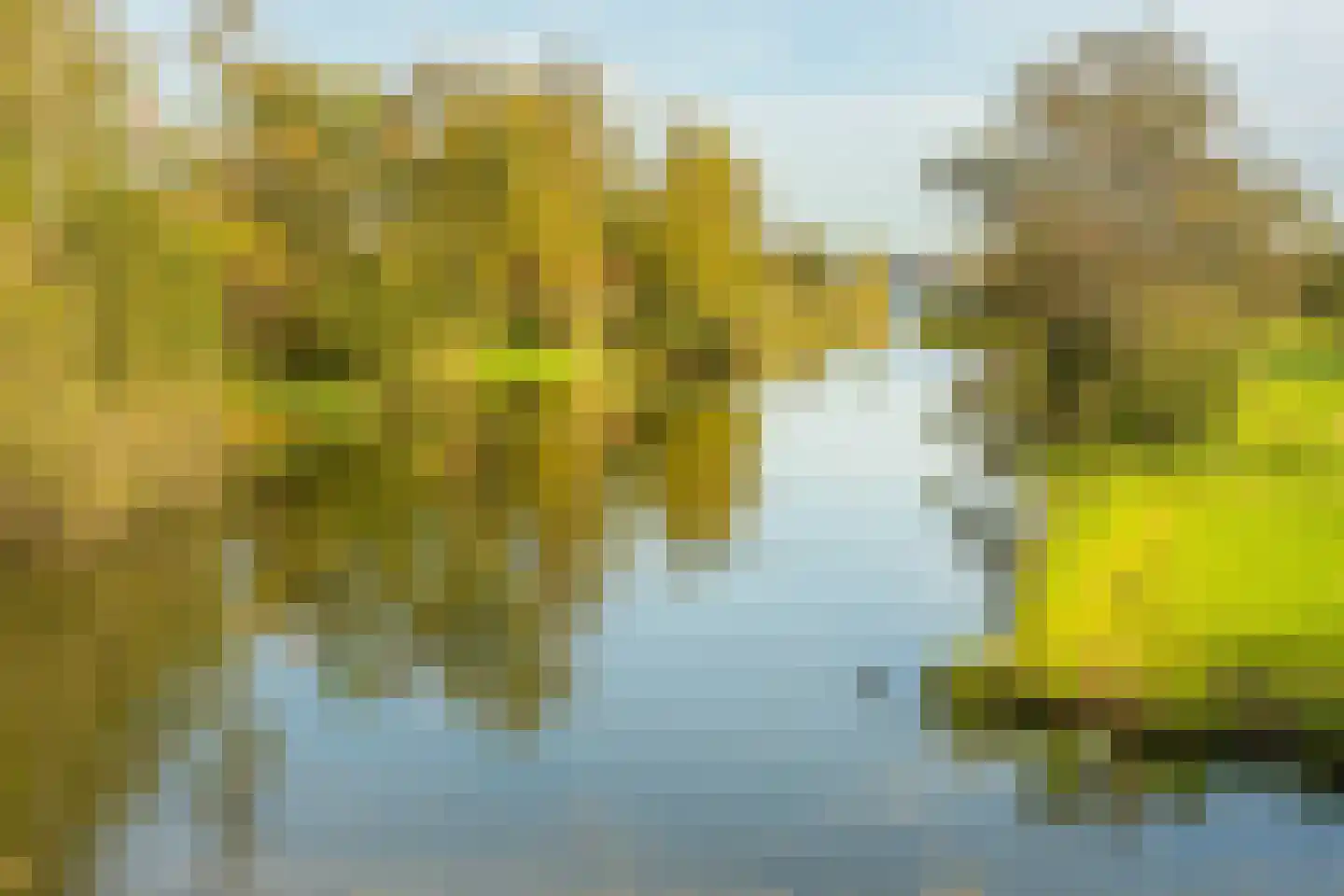 Pieter Langendijklaan 17 Amstelveen thumbnail 39