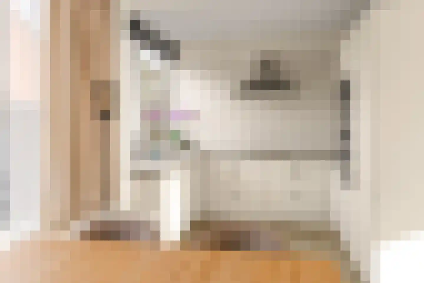 Pieter Langendijklaan 17 Amstelveen thumbnail 4