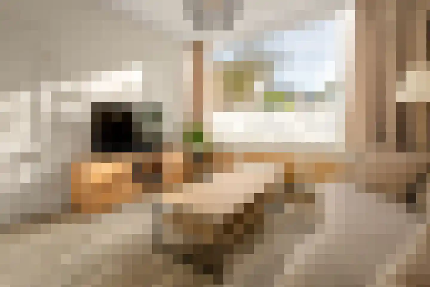 Pieter Langendijklaan 17 Amstelveen thumbnail 6
