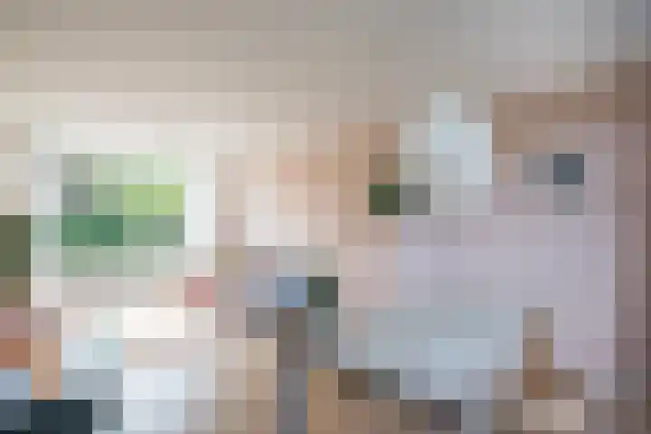 Pieter Langendijklaan 21 Amstelveen thumbnail 12