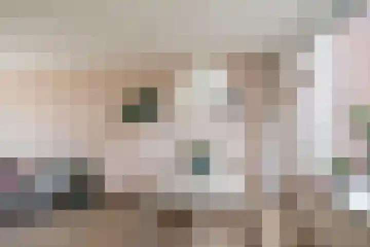 Pieter Langendijklaan 21 Amstelveen thumbnail 22