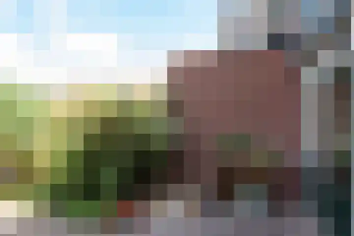 Pieter Langendijklaan 21 Amstelveen thumbnail 28