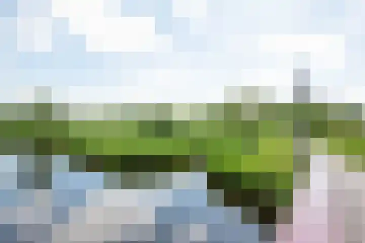 Pieter Langendijklaan 21 Amstelveen thumbnail 57