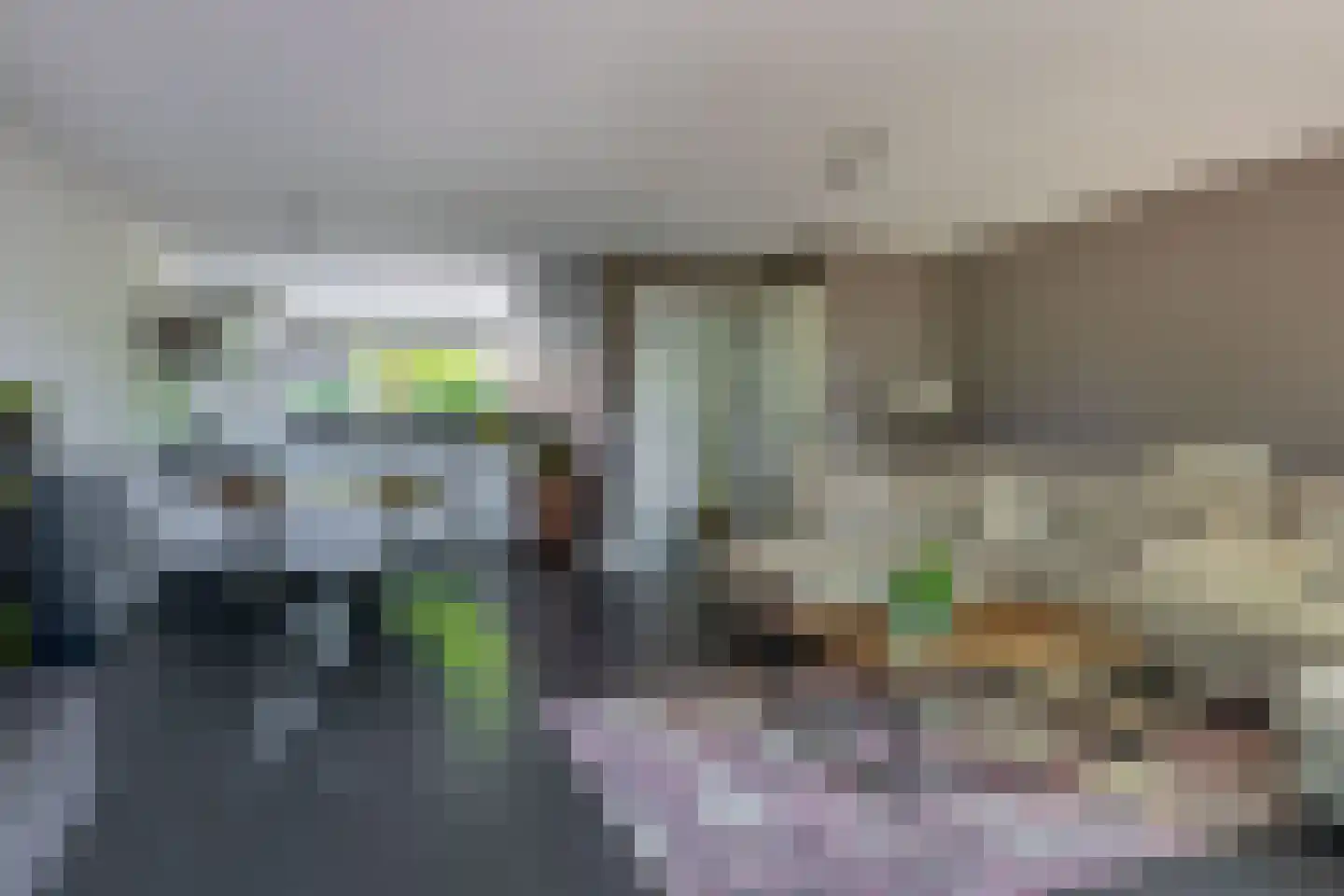 Pieter Langendijkpad 3 Gouda thumbnail 10