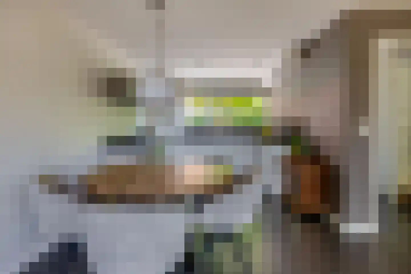 Pieter Langendijkpad 3 Gouda thumbnail 11