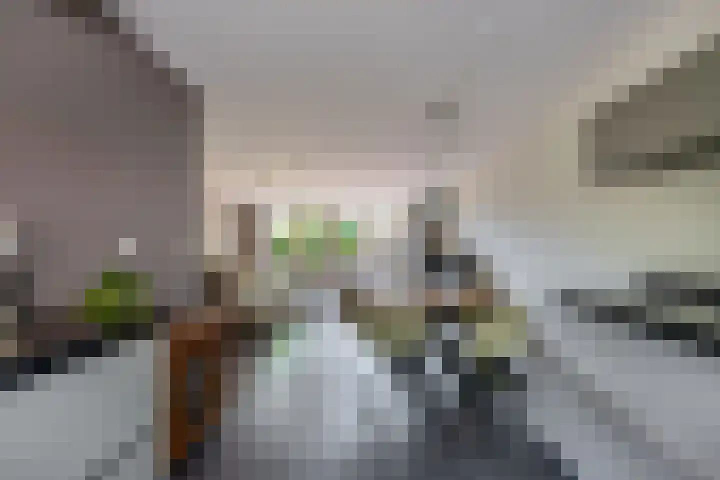 Pieter Langendijkpad 3 Gouda thumbnail 11
