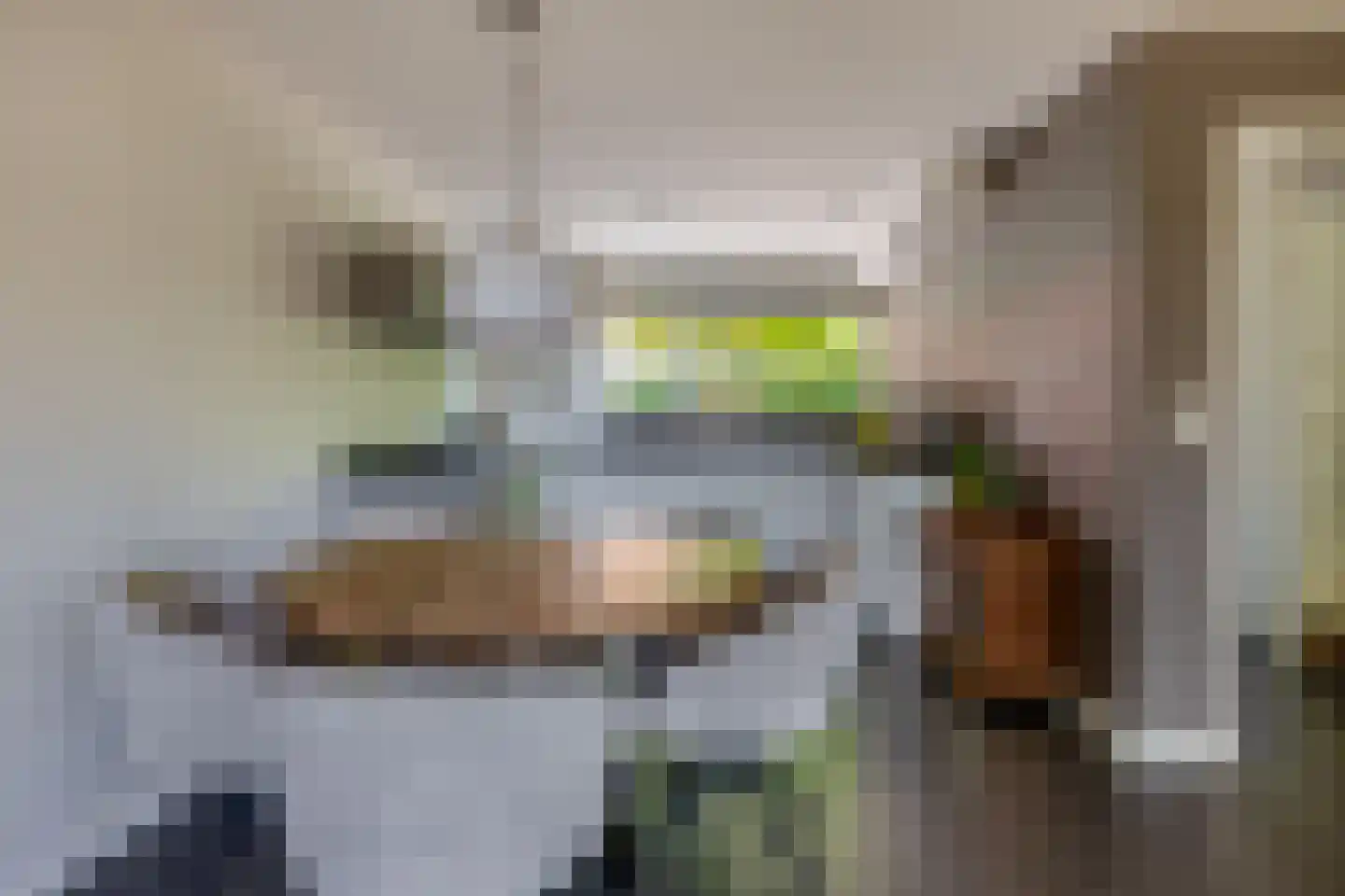 Pieter Langendijkpad 3 Gouda thumbnail 12