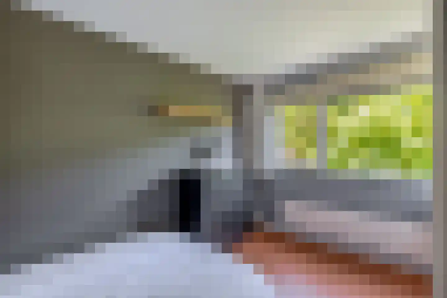 Pieter Langendijkpad 3 Gouda thumbnail 21