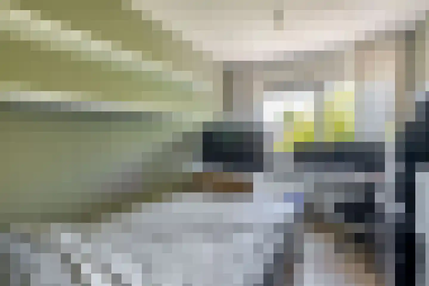 Pieter Langendijkpad 3 Gouda thumbnail 22