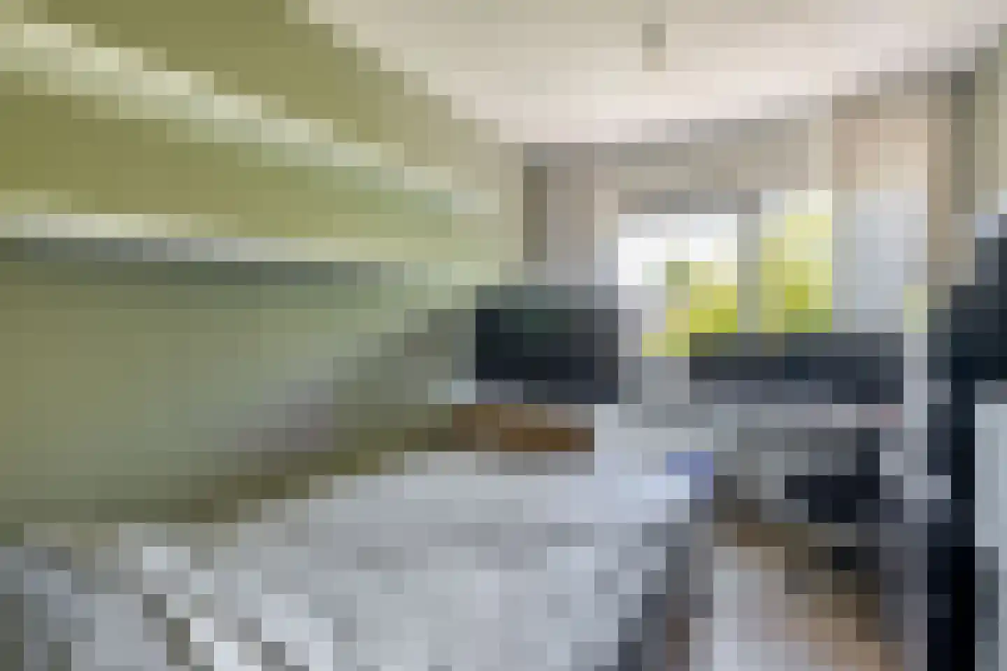 Pieter Langendijkpad 3 Gouda thumbnail 22