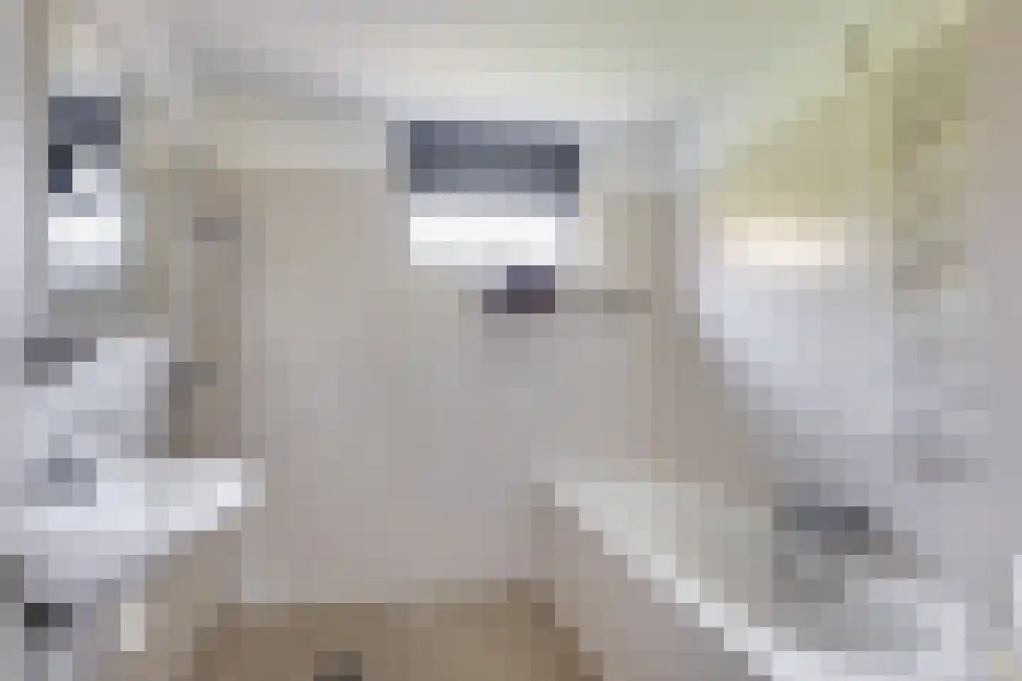 Pieter Langendijkpad 3 Gouda thumbnail 23