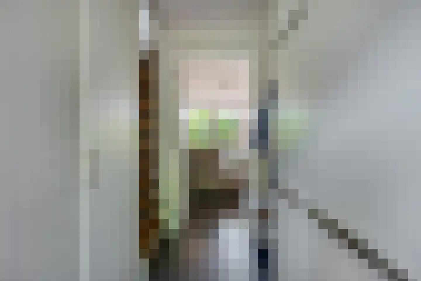 Pieter Langendijkpad 3 Gouda thumbnail 7