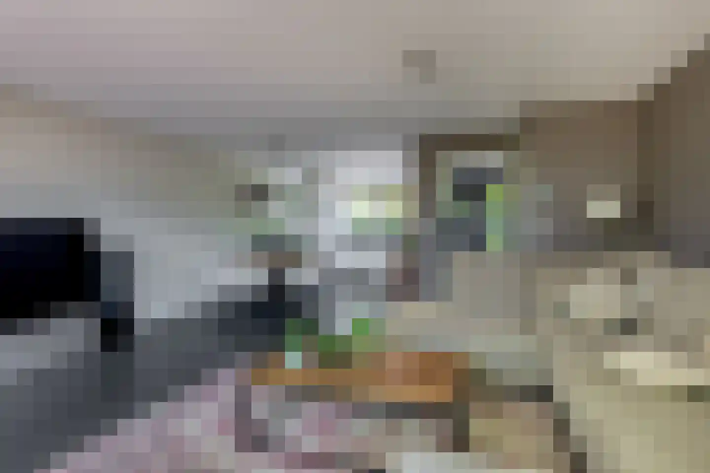 Pieter Langendijkpad 3 Gouda thumbnail 9