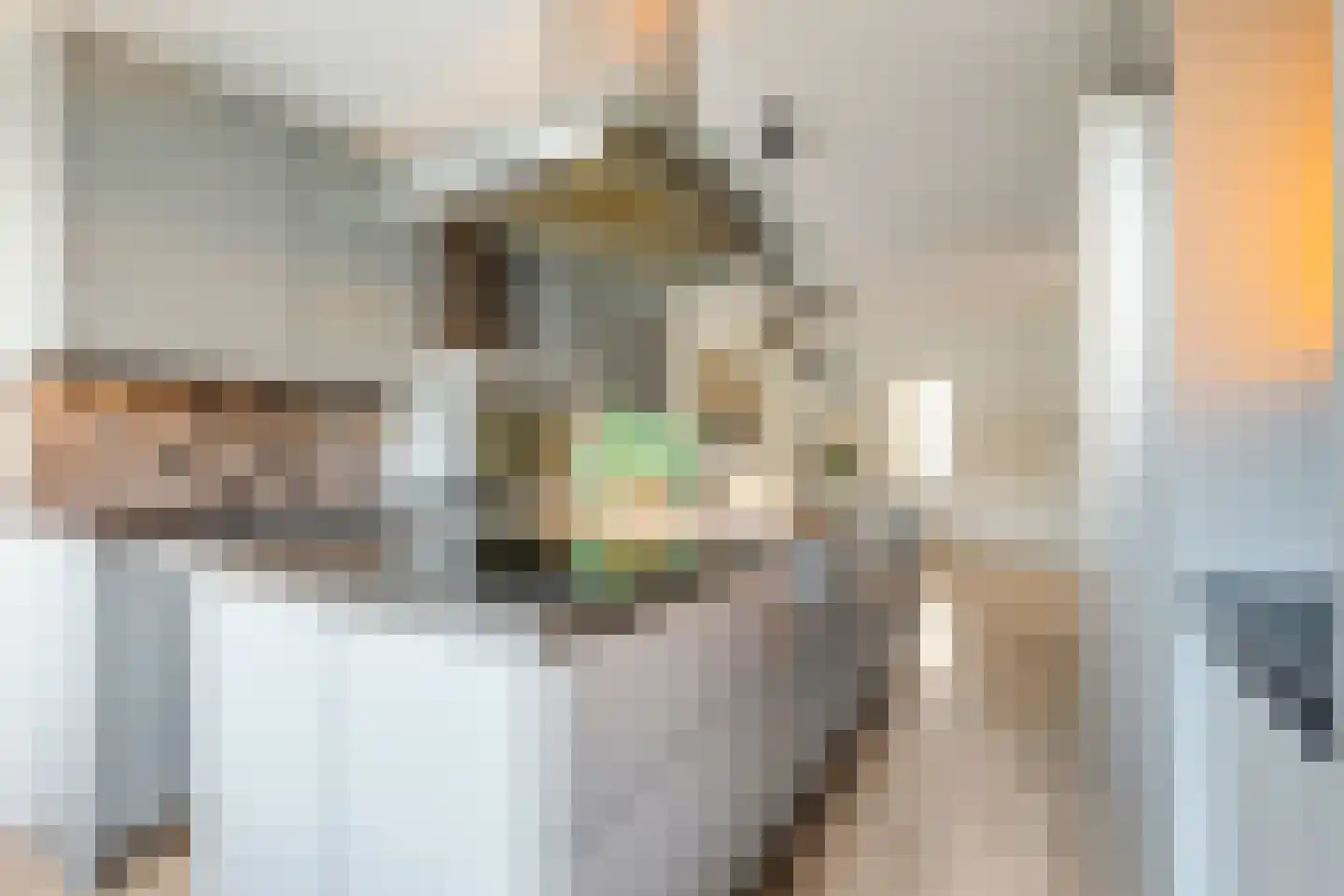 Pieter Langendijkstraat 18 Alkmaar thumbnail 18