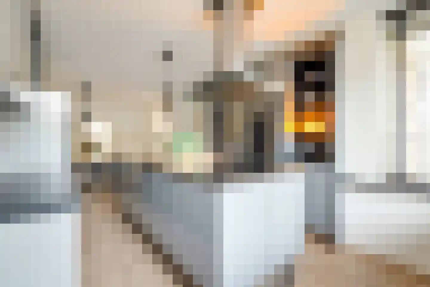 Pieter Langendijkstraat 18 Alkmaar thumbnail 19