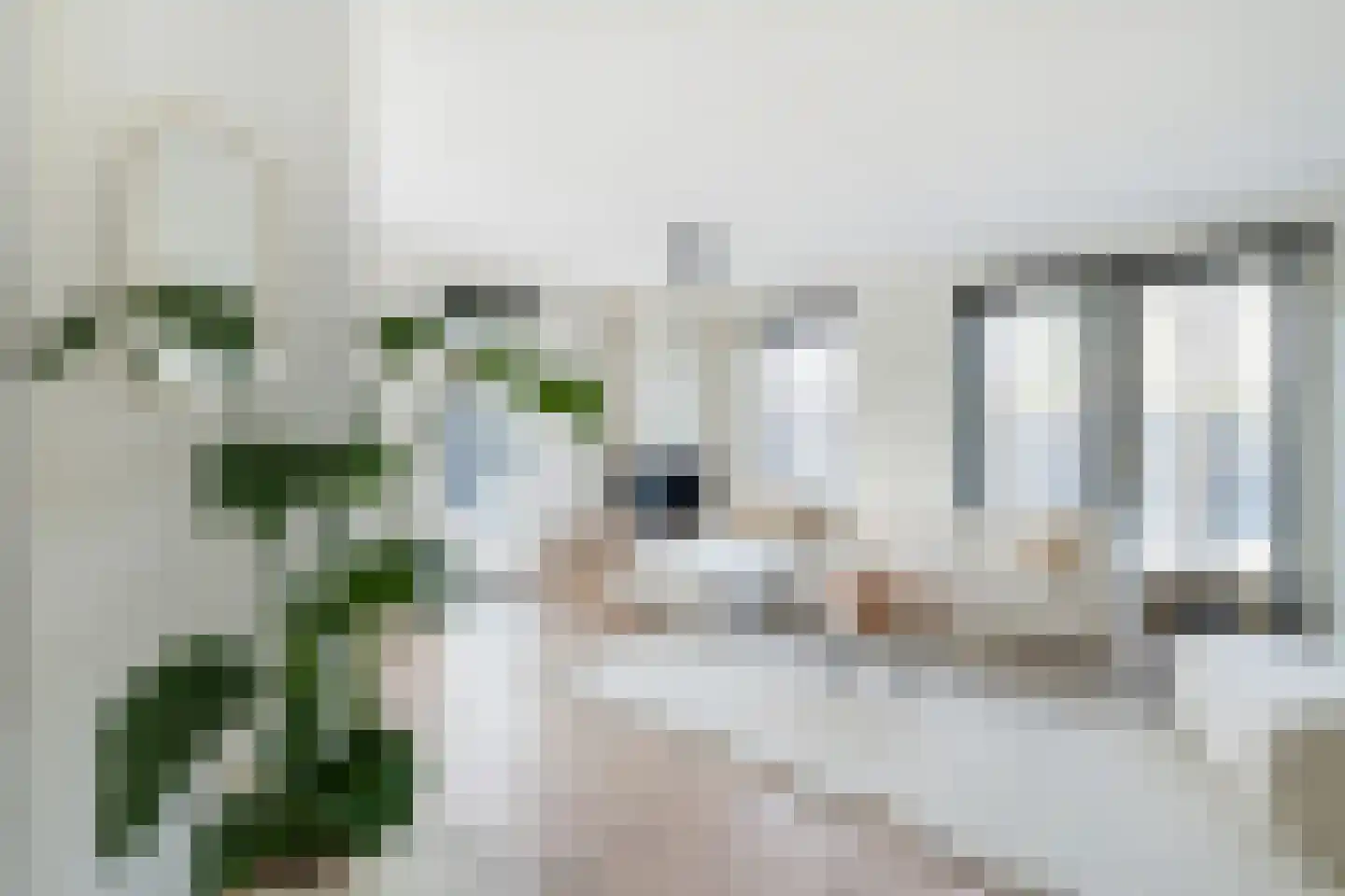 Pieter Langendijkstraat 18 Alkmaar thumbnail 8