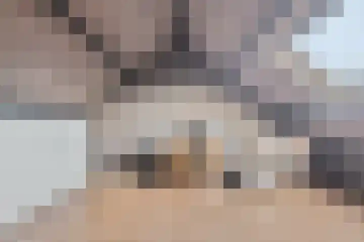 Pieter Langendijkstraat 22 Goor thumbnail 27